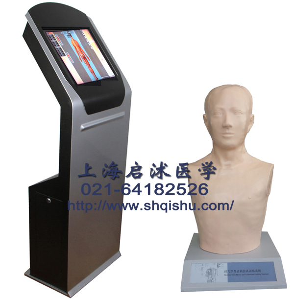 經穴學及針刺仿真訓練系統(tǒng)