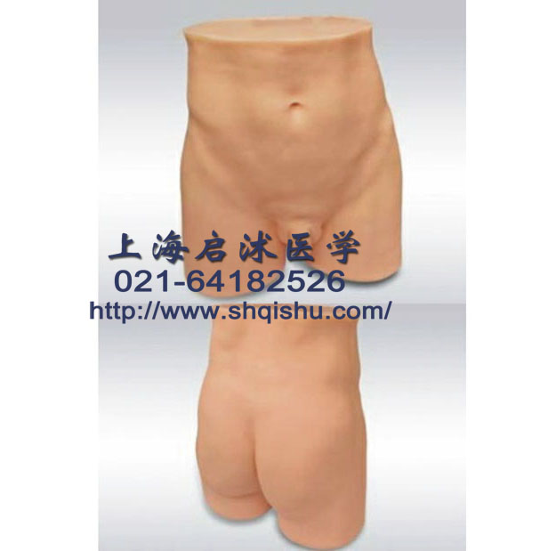 針灸臀部訓練模型