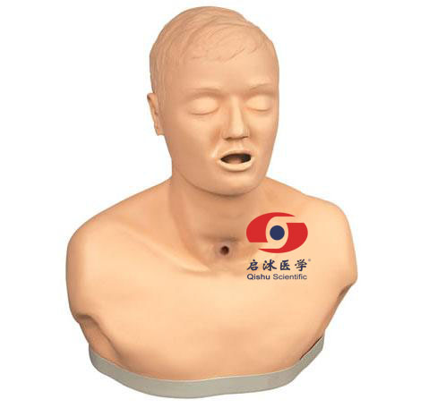 高級成人氣管切開護(hù)理模型