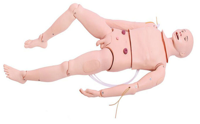 高級(jí)成人護(hù)理及CPR模擬人
